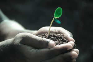 Growing Pains